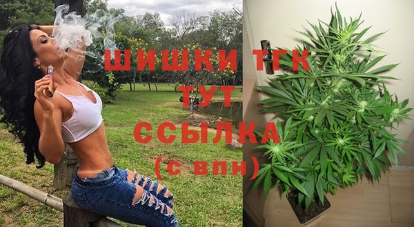 амф Слюдянка