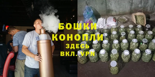 ПСИЛОЦИБИНОВЫЕ ГРИБЫ Снежногорск