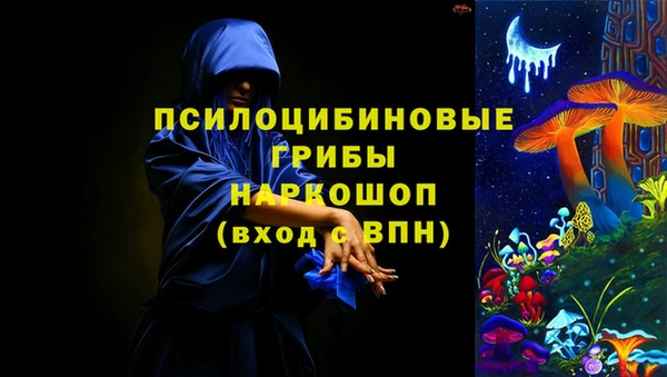 ПСИЛОЦИБИНОВЫЕ ГРИБЫ Снежногорск
