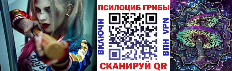 хочу наркоту  Ува  Псилоцибиновые грибы Cubensis 
